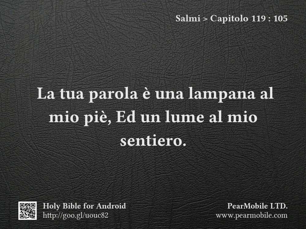 Salmi, Capitolo 119:105